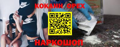 СК Брянск