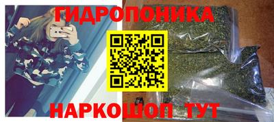 СК Брянск