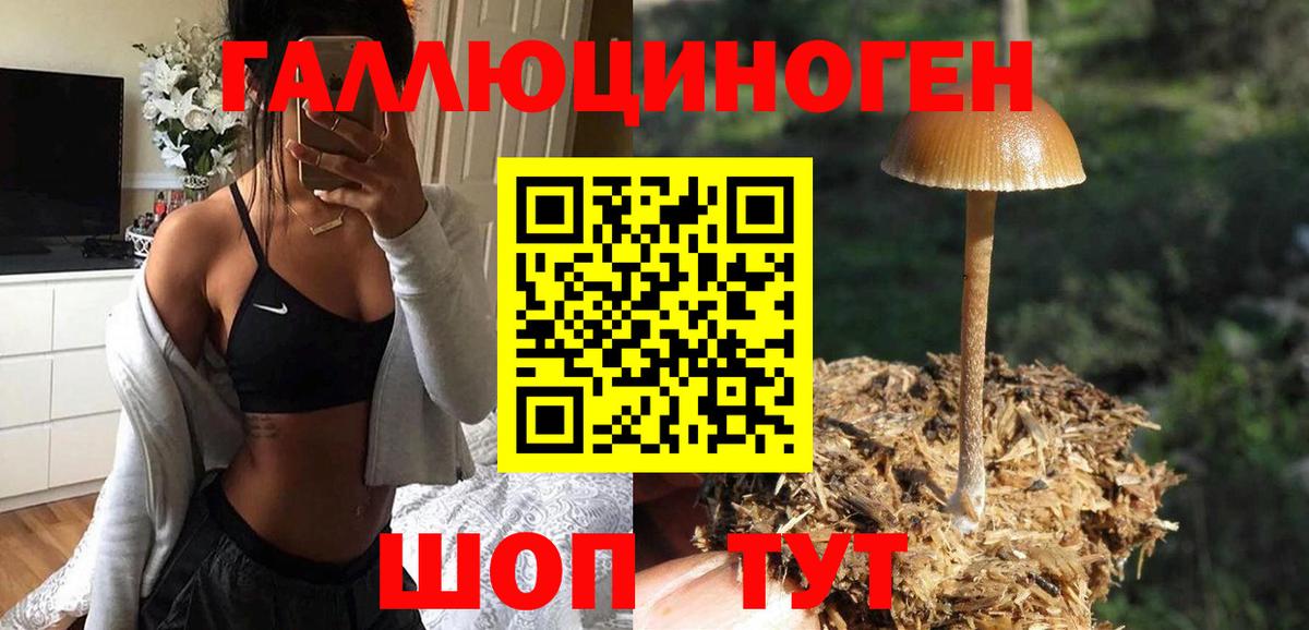 Сибай  Галлюциногенные грибы GOLDEN TEACHER  Галлюциногенные грибы Magic Shrooms  Вход с VPN 